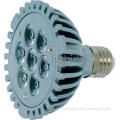 PAR30 LED PAR Lamp